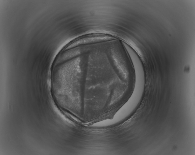 X0000091981084200710041105
