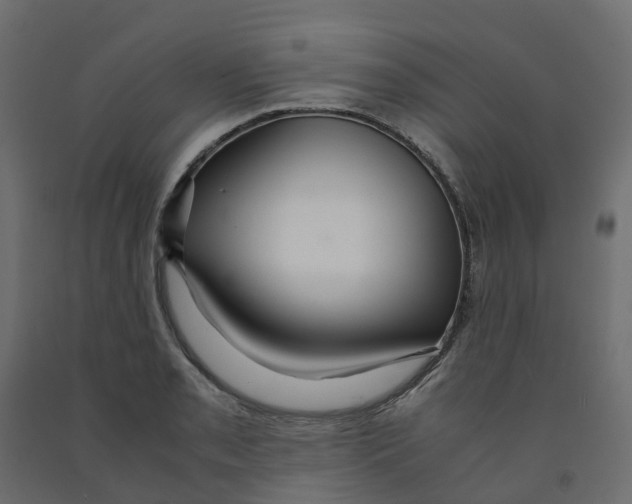 X0000091981085200710041105
