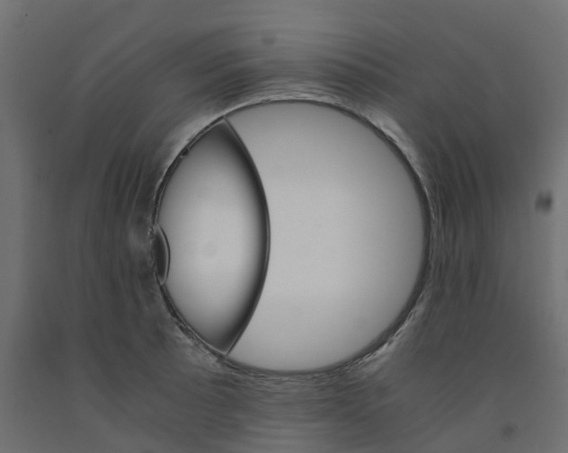 X0000091981089200710041105