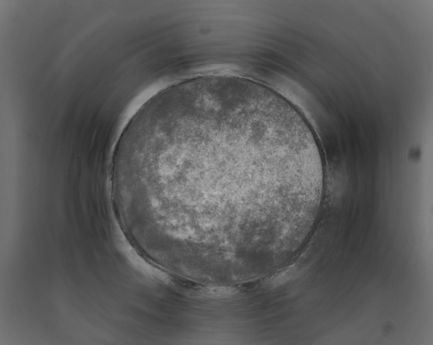 X0000091981090200710041105