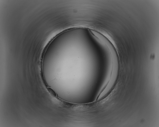 X0000091981093200710041105