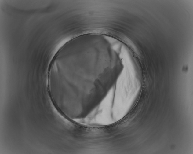 X0000091981095200710041105
