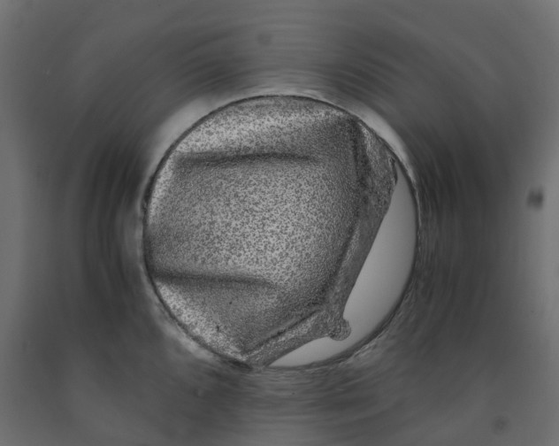 X0000091981096200710041105