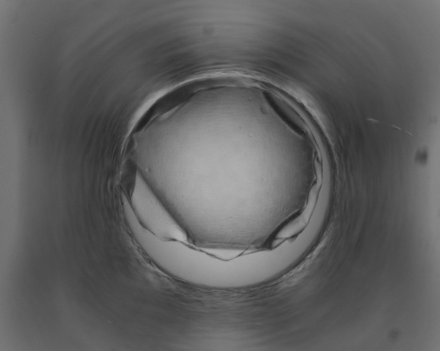X0000091981097200710041105