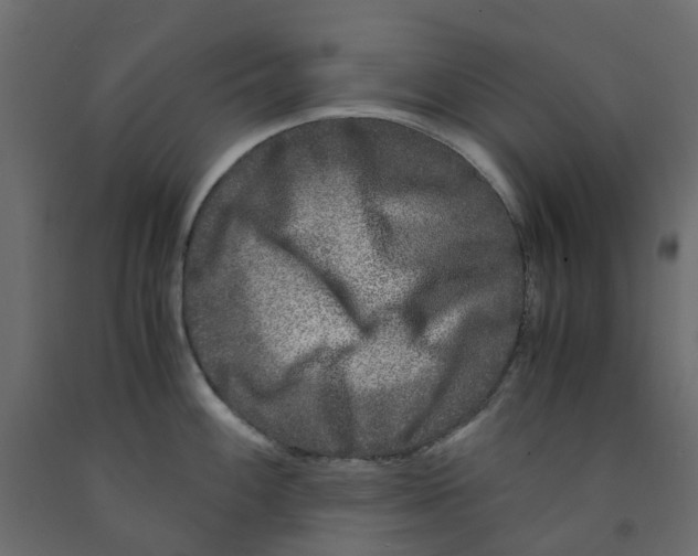 X0000091981100200710041105