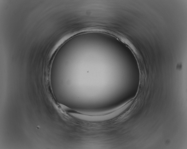 X0000091981101200710041105