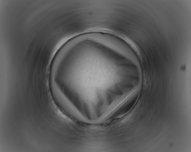 X0000091981102200710041104