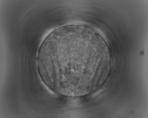 X0000091981103200710041104