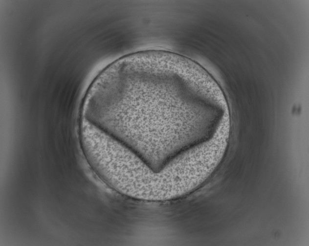 X0000091981104200710041104