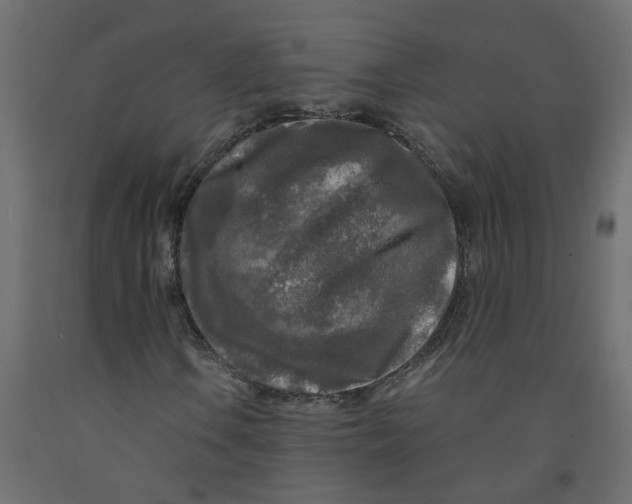 X0000091981106200710041104