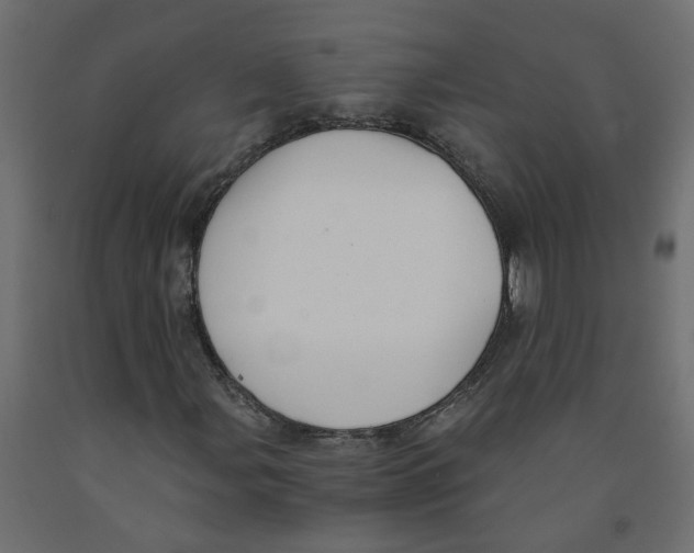 X0000091981107200710041104