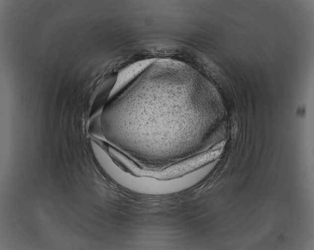 X0000091981108200710041104