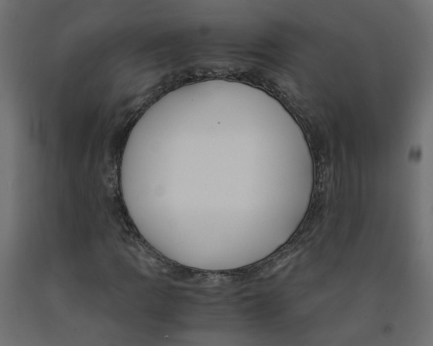 X0000091981109200710041104