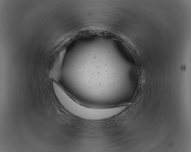 X0000091981110200710041104