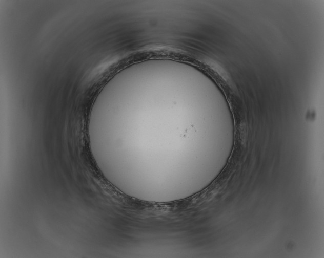 X0000091981111200710041104