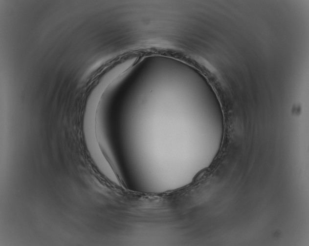 X0000091981112200710041104