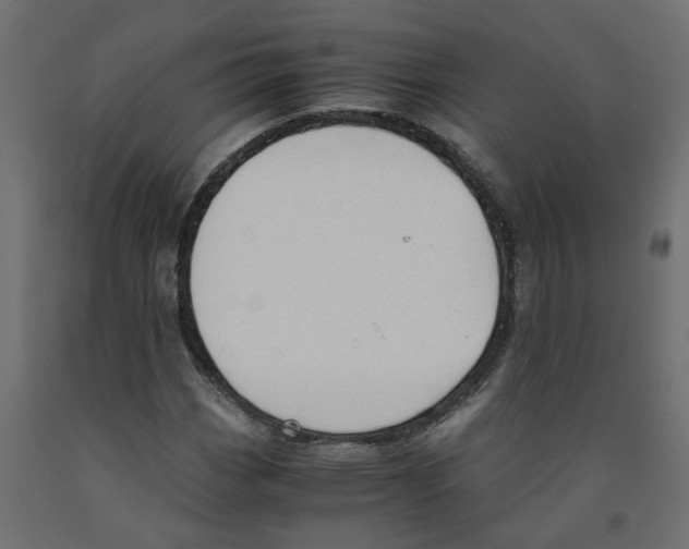X0000091981113200710041104