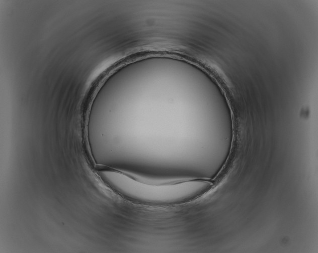 X0000091981114200710041104