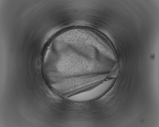 X0000091981115200710041104