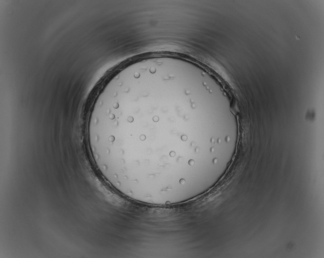 X0000091981116200710041104