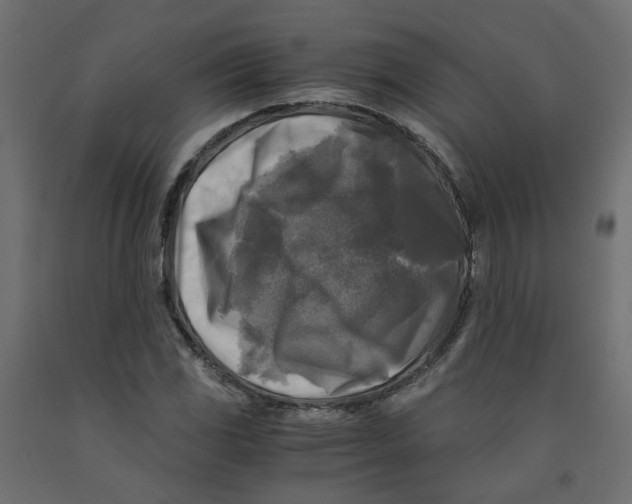 X0000091981117200710041104