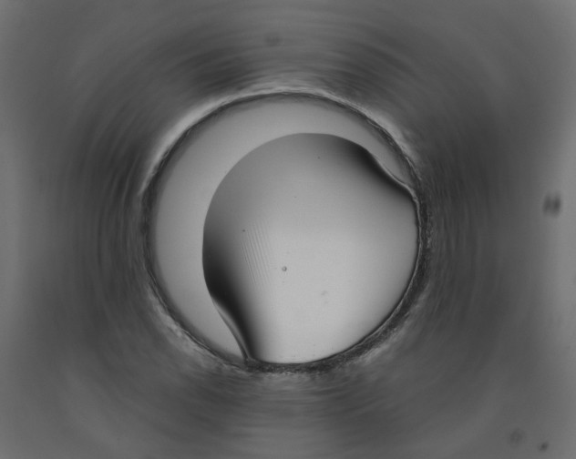 X0000091981118200710041104