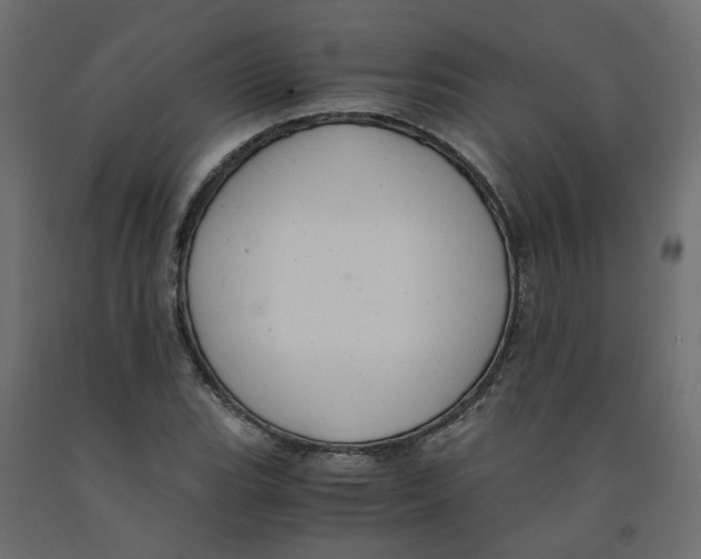 X0000091981119200710041104