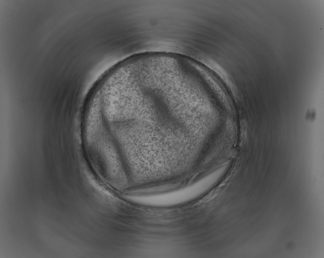 X0000091981120200710041104