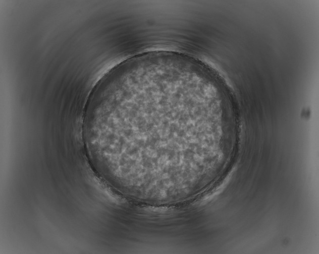 X0000091981121200710041104