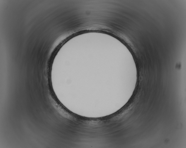 X0000091981122200710041104