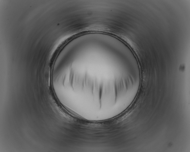 X0000091981123200710041104