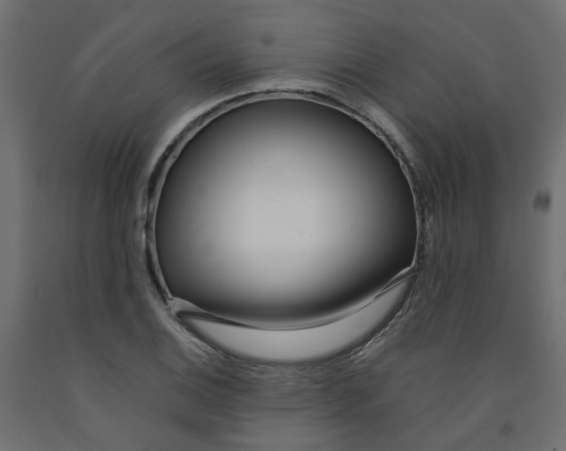 X0000091981124200710041104