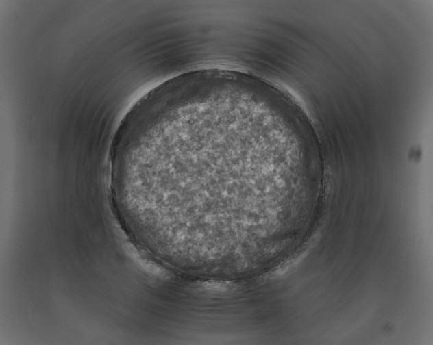 X0000091981125200710041104