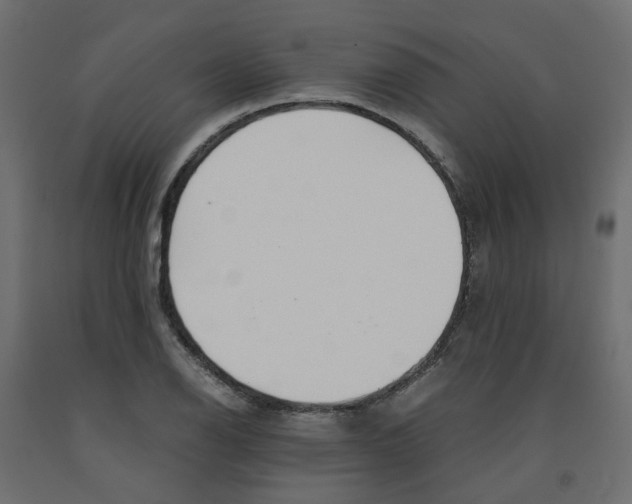 X0000091981126200710041104
