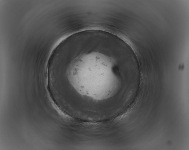 X0000091981127200710041104