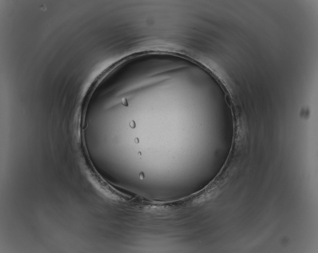 X0000091981128200710041104