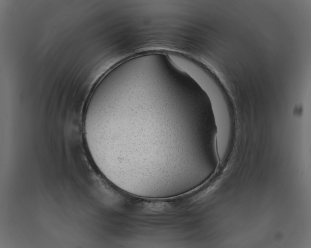 X0000091981129200710041104