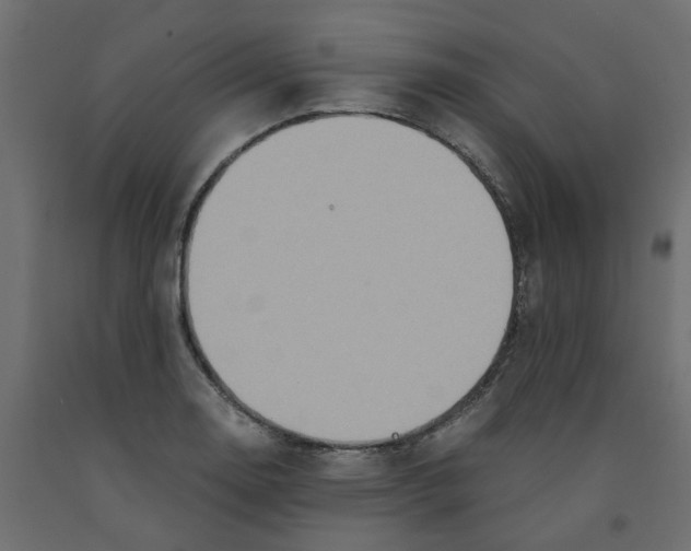 X0000091981130200710041104