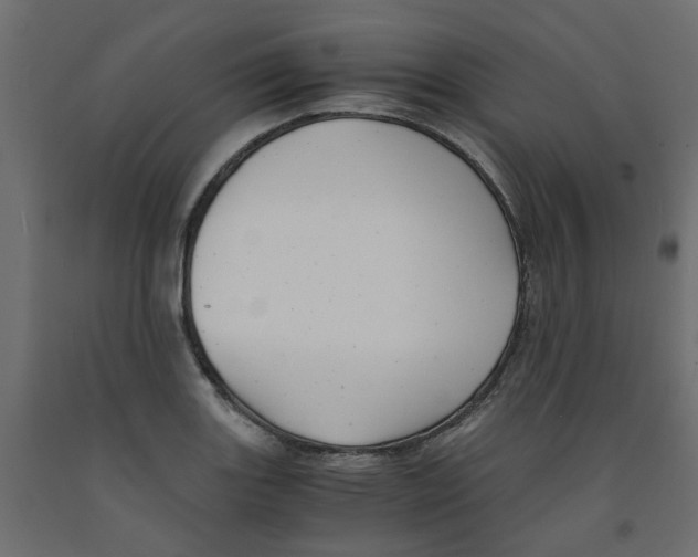 X0000091981131200710041104