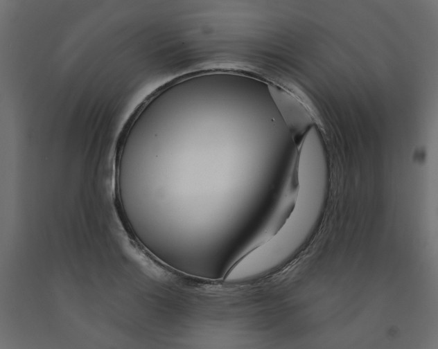 X0000091981132200710041104