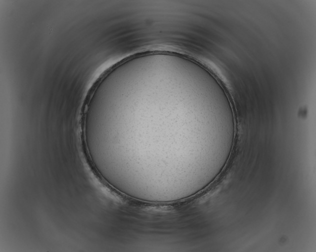 X0000091981133200710041104