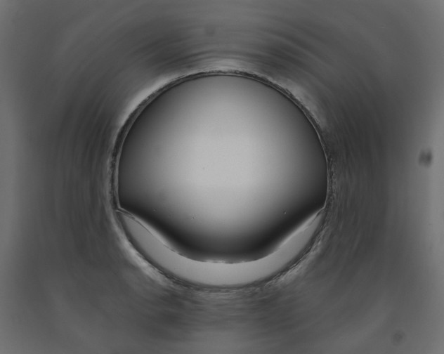X0000091981134200710041104