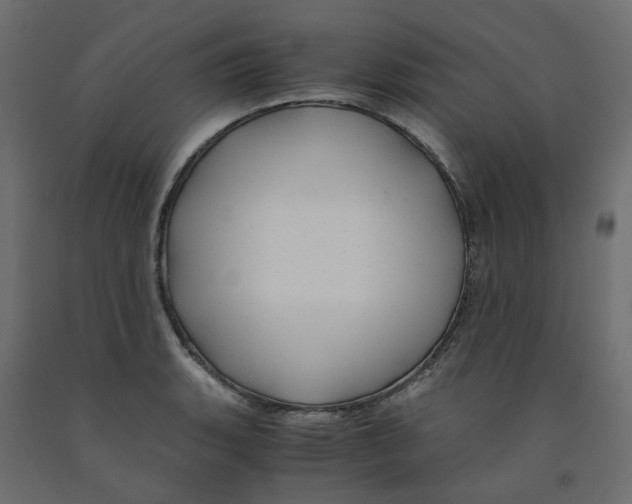 X0000091981135200710041104