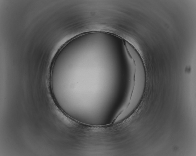 X0000091981136200710041104