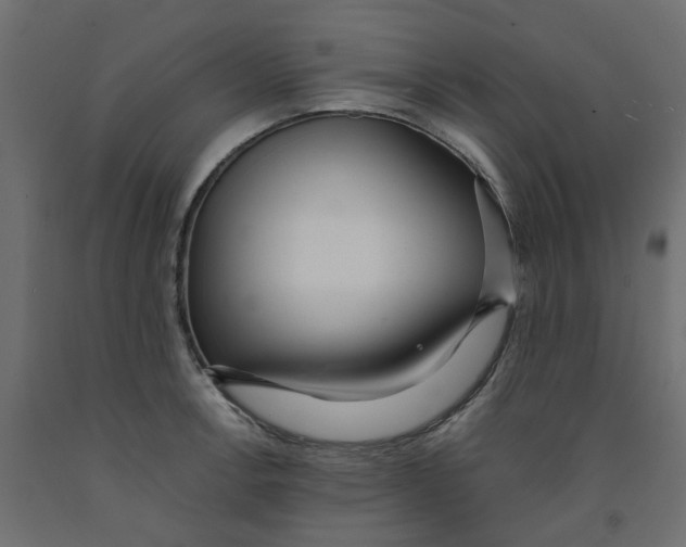 X0000091981138200710041104