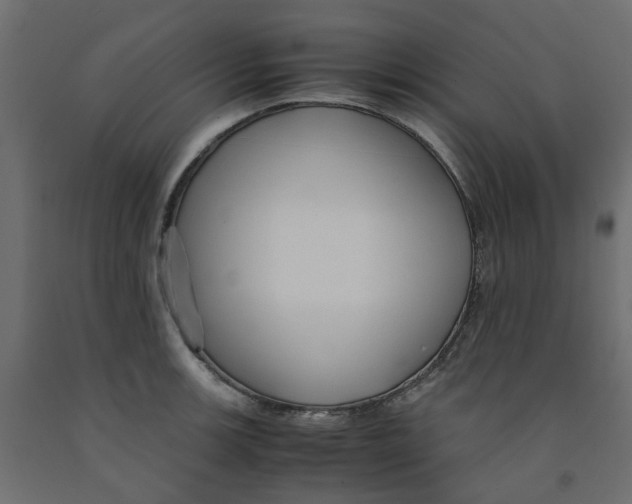 X0000091981139200710041104
