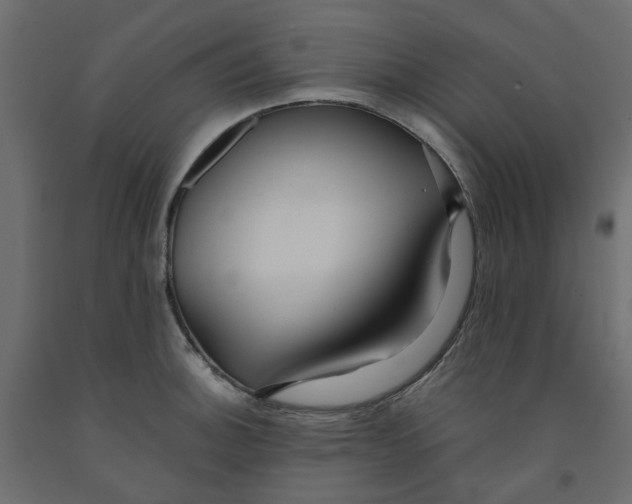 X0000091981140200710041104