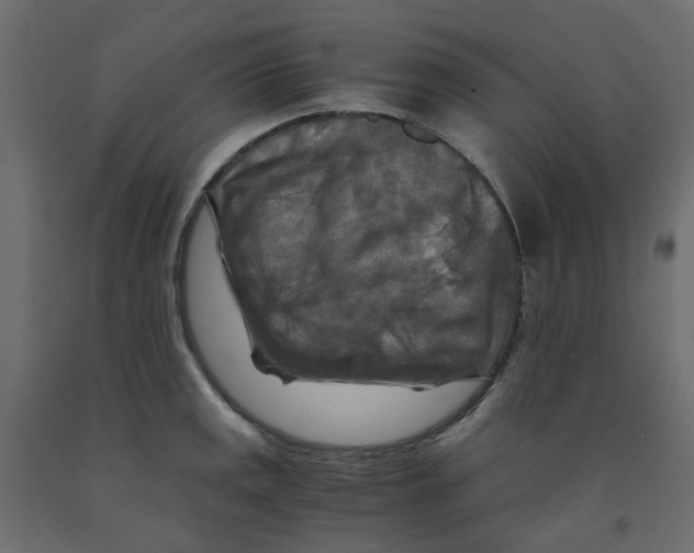 X0000091981141200710041104