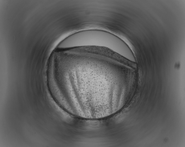 X0000091981142200710041104