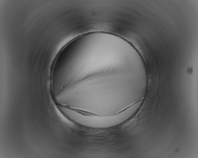 X0000091981143200710041104